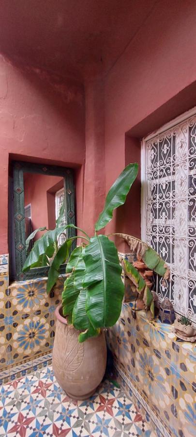 Riad Kainos Marrakesh Exterior photo